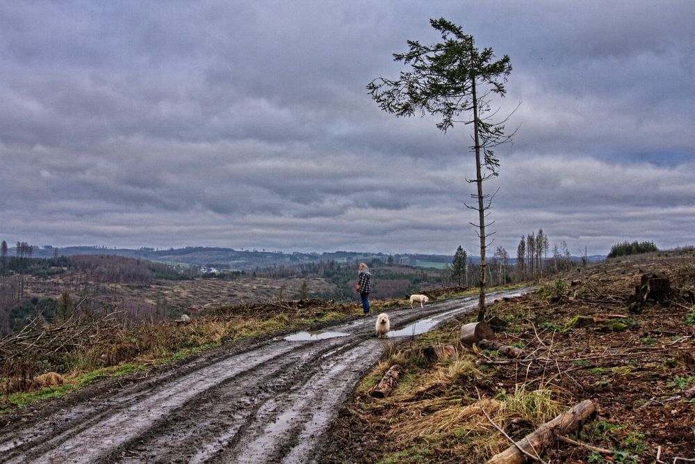 Sonntagsspaziergang im Oberbergischen IV