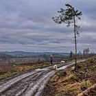 Sonntagsspaziergang im Oberbergischen IV