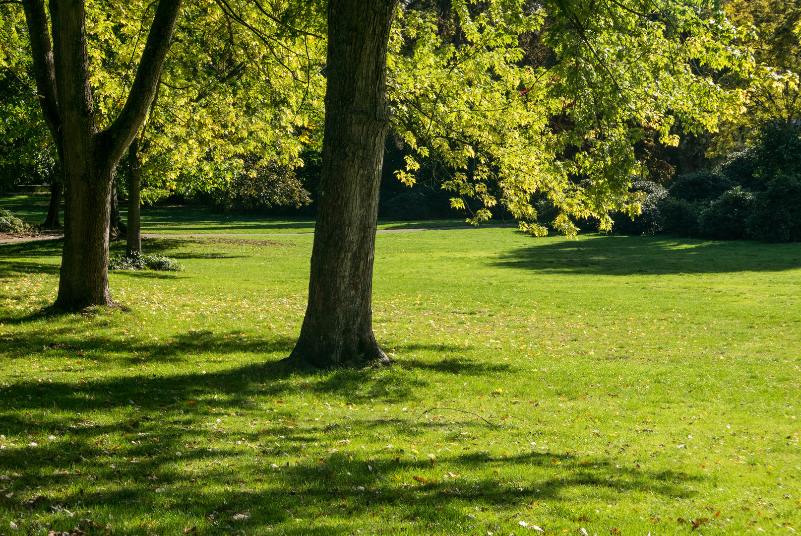 Sonntagsspaziergang im Park - II