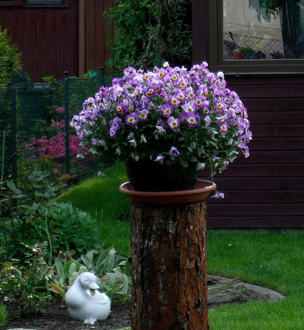 Sonntagsspaziergang in einer Gartenkolonie, wo man liebevolle Gestaltungen sehen kann. :-))