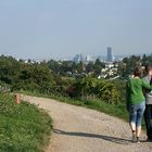 Sonntagsspaziergang in Wiens Weinbergen