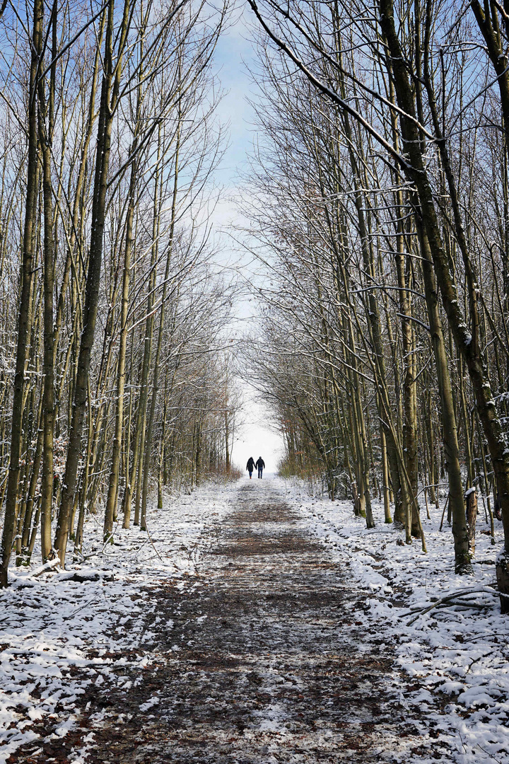 Sonntagsspaziergang in winterlicher und sonniger Landschaft - bevor das Schmuddelwetter wieder kommt