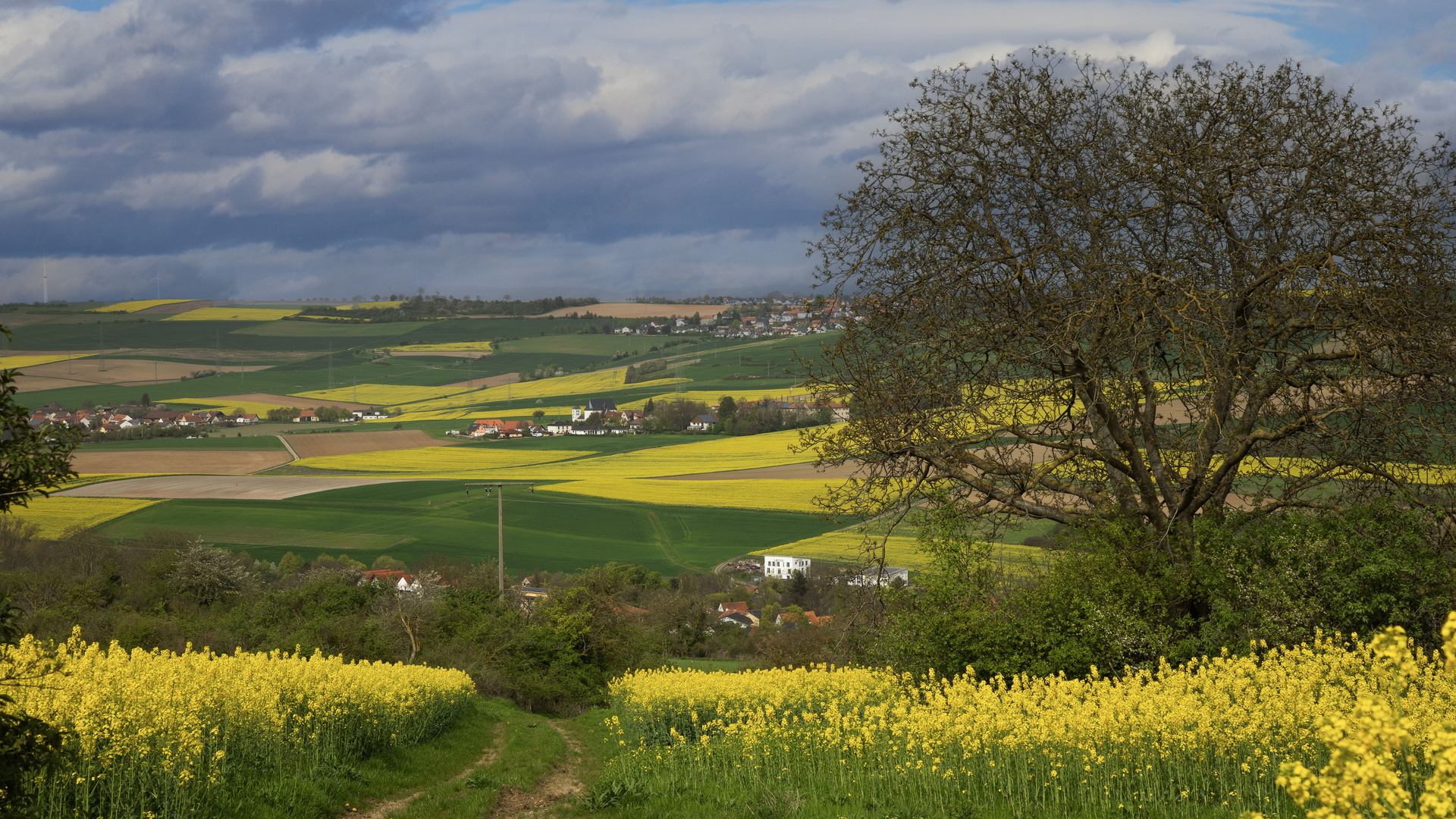 SONNTAGSSPAZIERGANG MIT DURCHBLICK