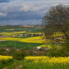 SONNTAGSSPAZIERGANG MIT DURCHBLICK