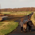 Sonntagsspaziergang mit Esel