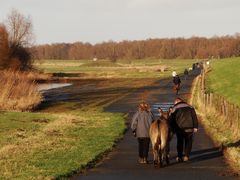 Sonntagsspaziergang mit Esel