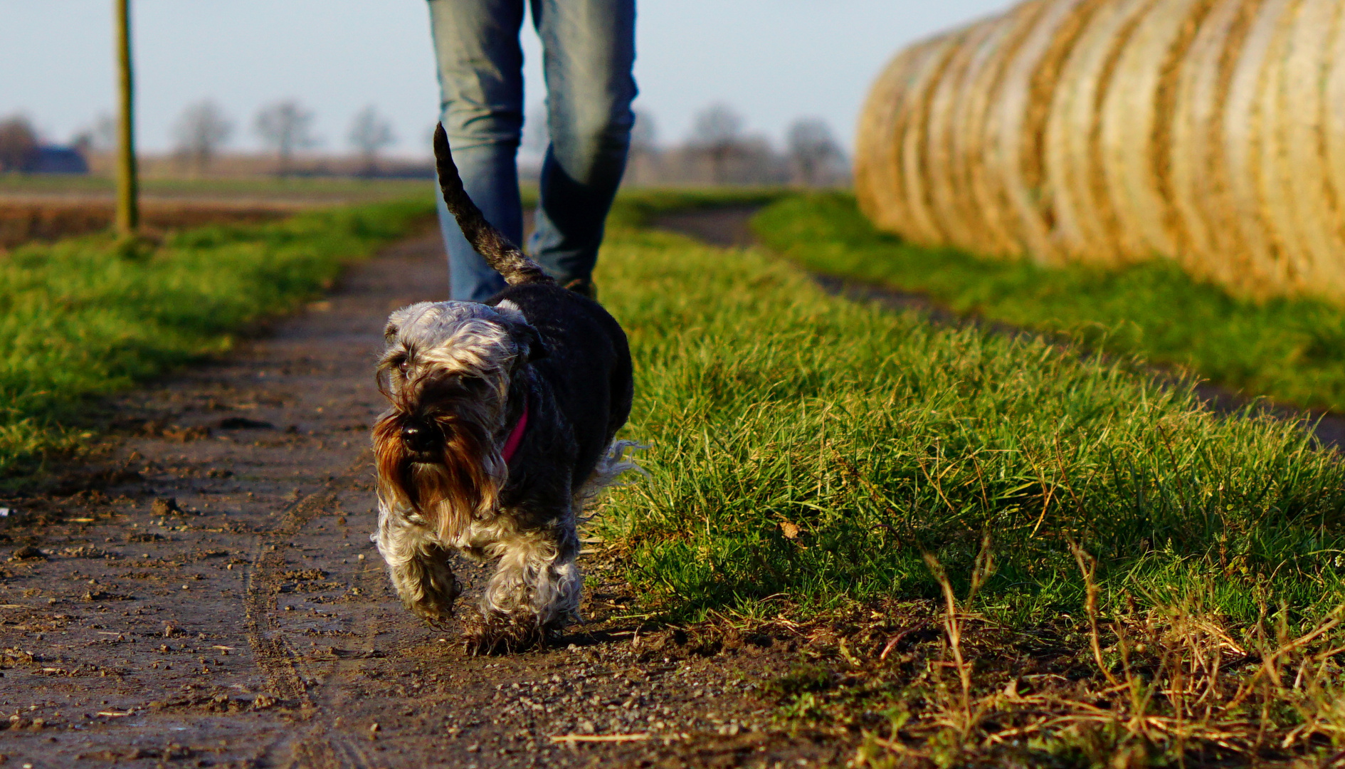 Sonntagsspaziergang mit Hund