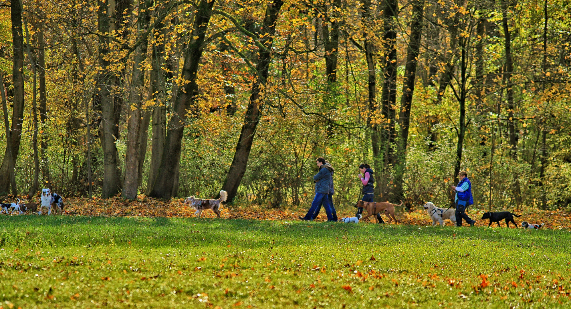 Sonntagsspaziergang mit Hund