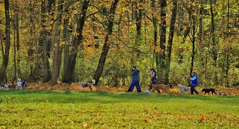 Sonntagsspaziergang mit Hund