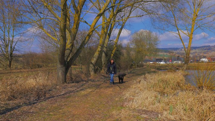 Sonntagsspaziergang mit Wicky-Emily