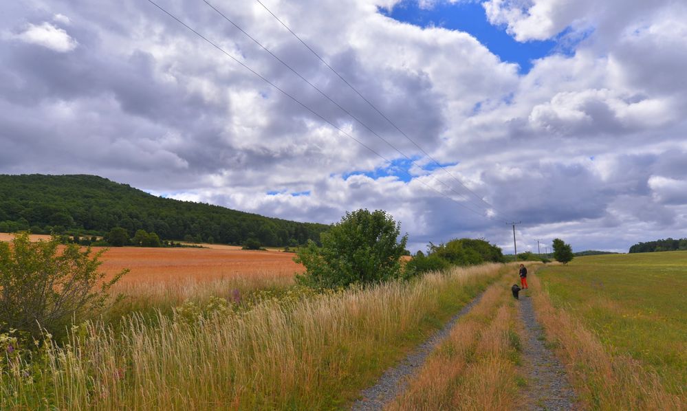 Sonntagsspaziergang mit Wicky-Emily