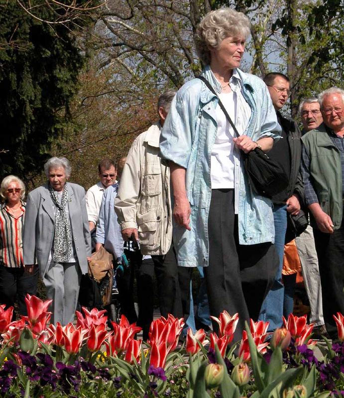 Sonntagsspaziergang oder Hammelherde?