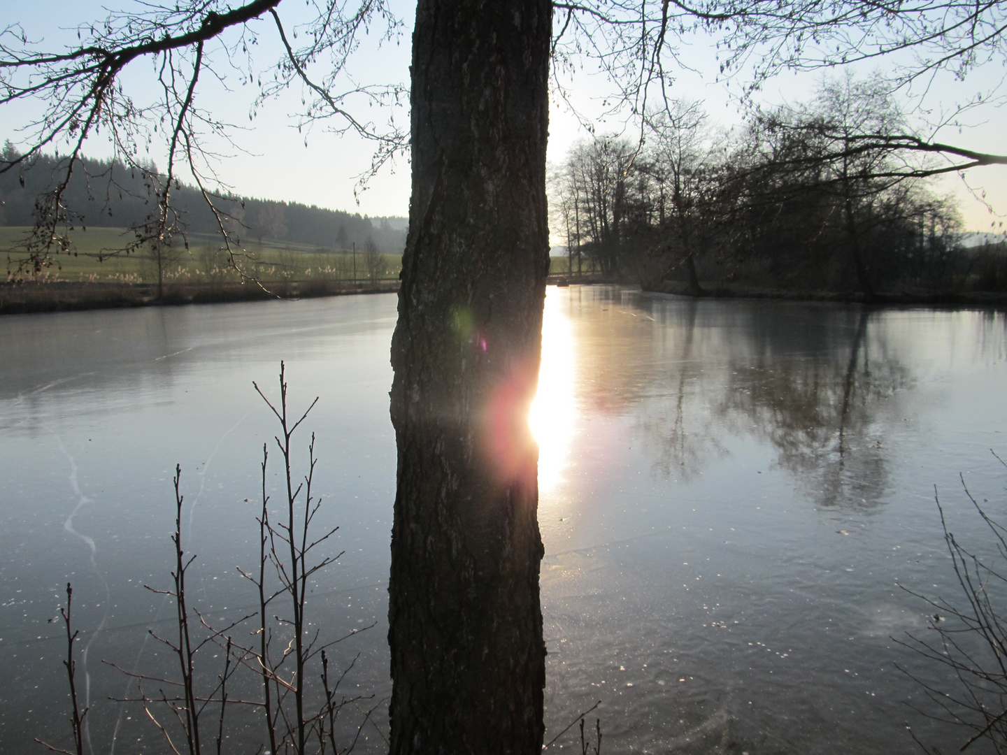 Sonntagsspaziergang um den Fischweiher