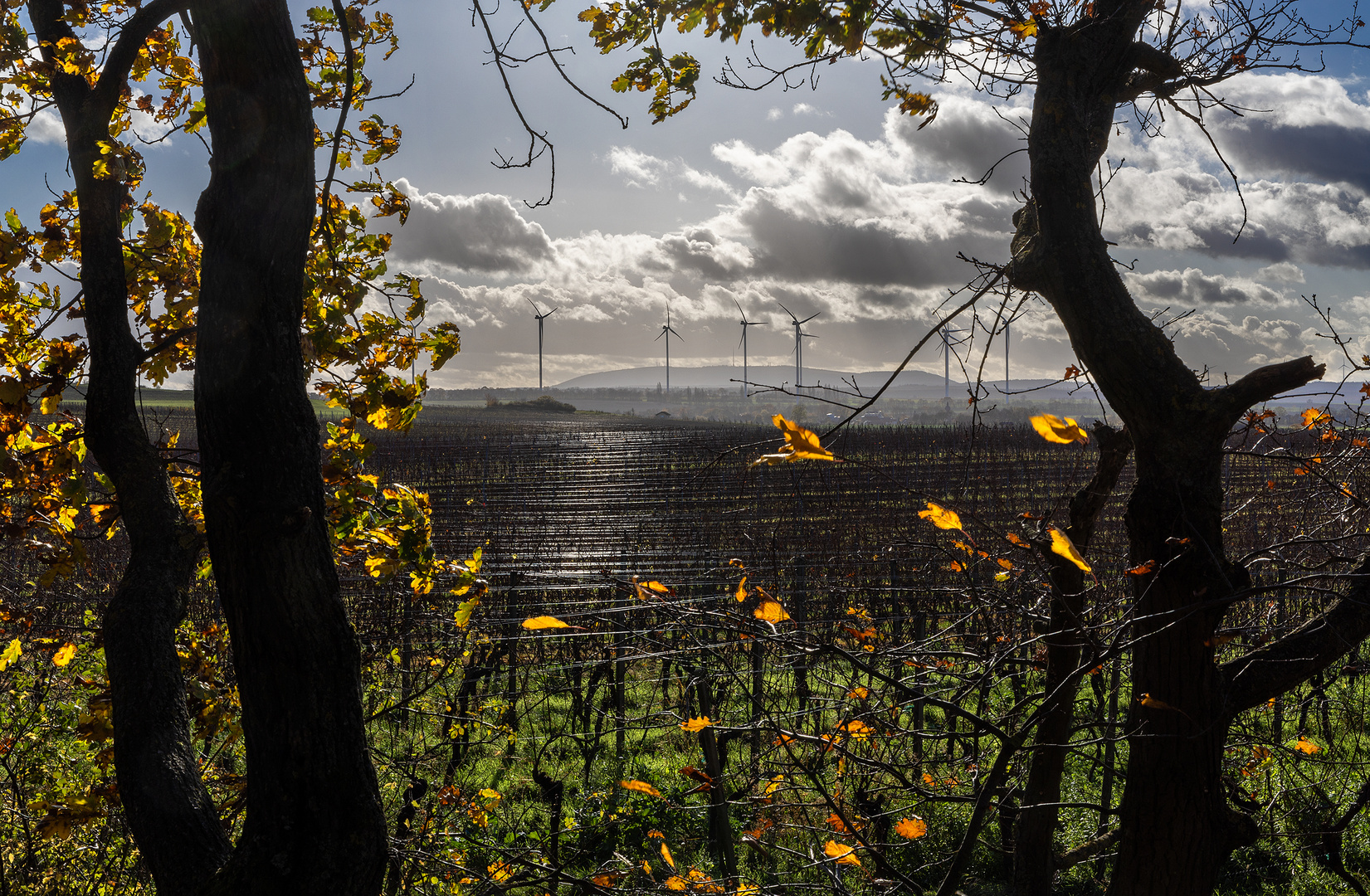 Sonntagsspaziergang - VI - 