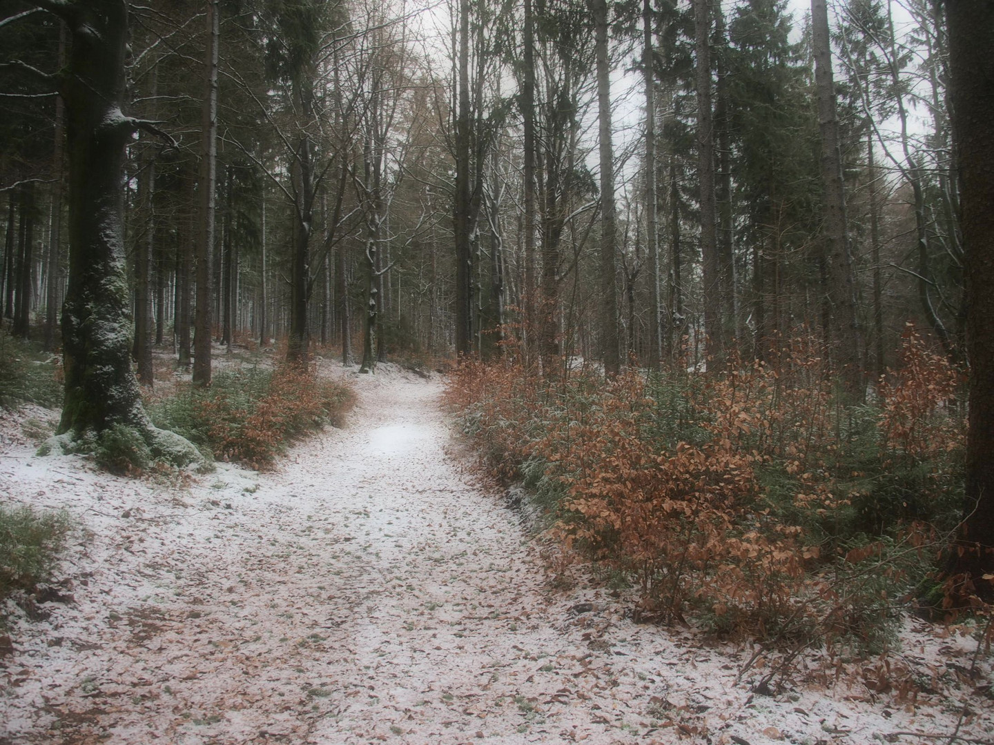 Sonntagsspaziergang zur Saalequelle