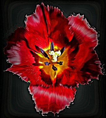 SONNTAGSSPIELEREI.....