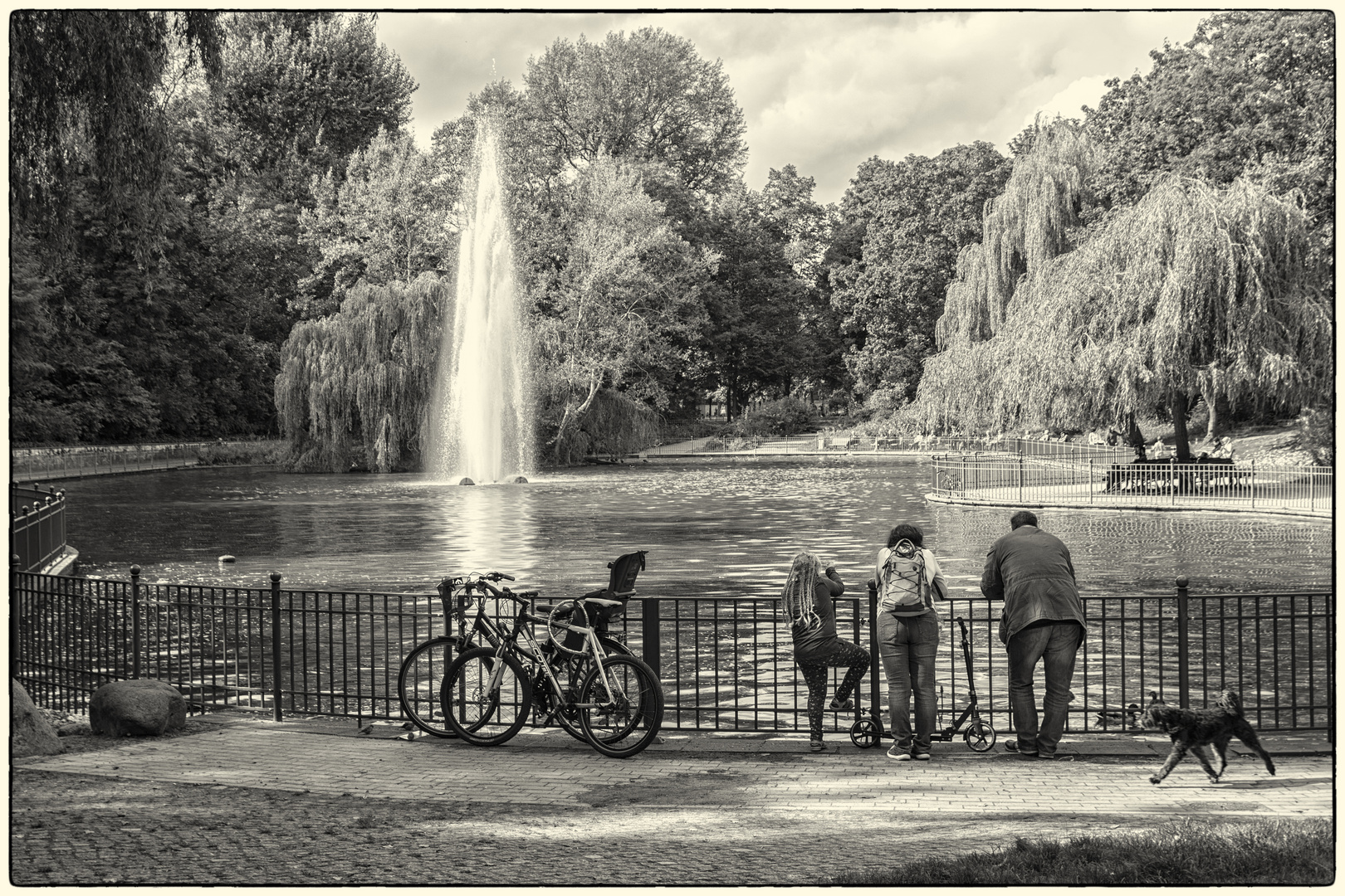 Sonntagsszene am Teich    Frh-P  25 sw 02  (50-Friedrichshai-Park 2017)