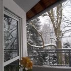 Sonntagsüberraschung SCHNEE