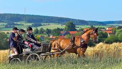 Sonntagsvergnügen