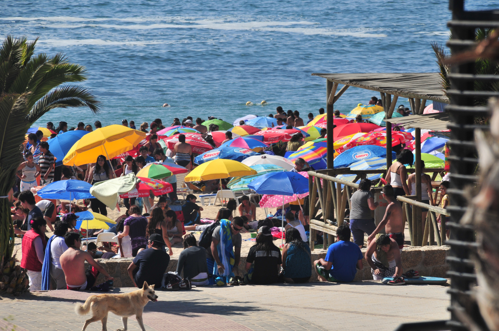 Sonntagsvergnügen am Strand