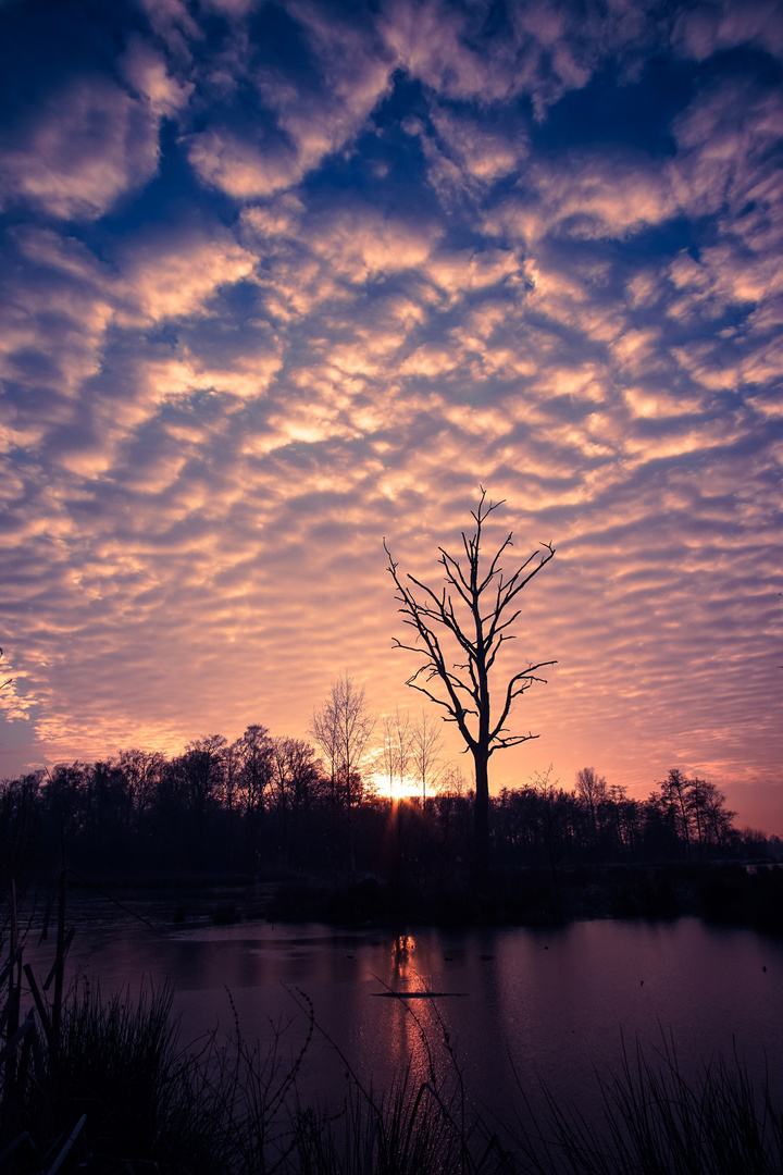 Sonnuntergang am See 