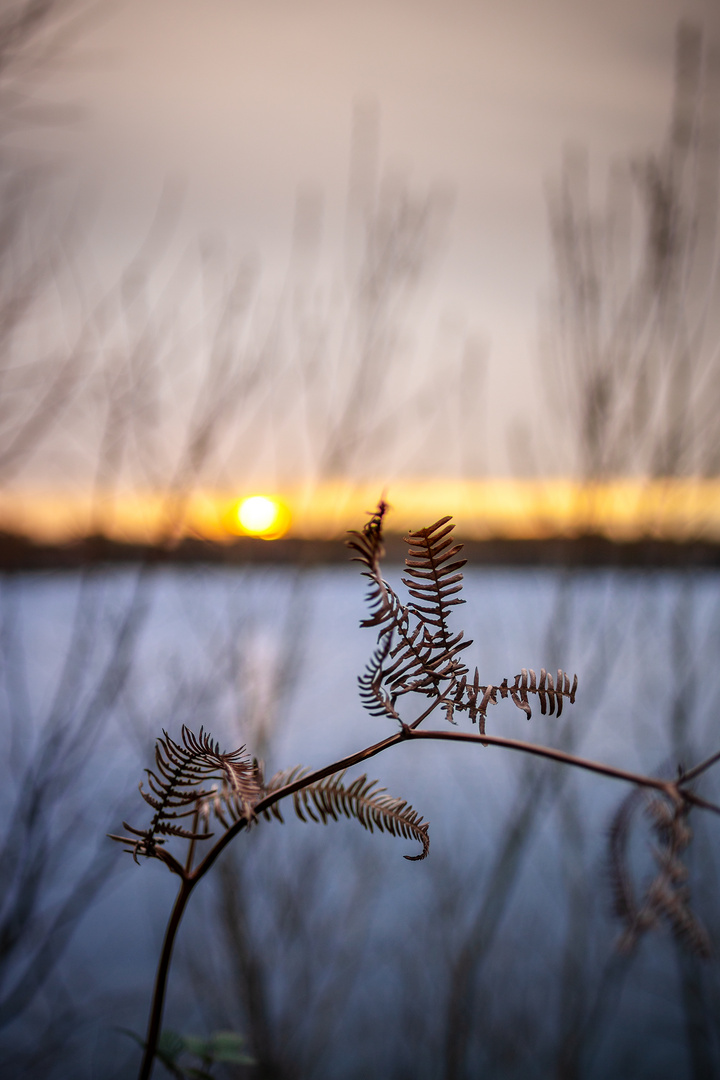 Sonnuntergang am See 