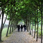 Sono fuori dal tunnel