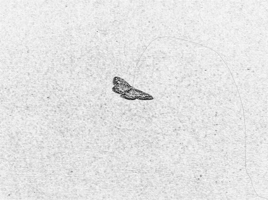 Sono il vento che farà volare il tuo aquilone!