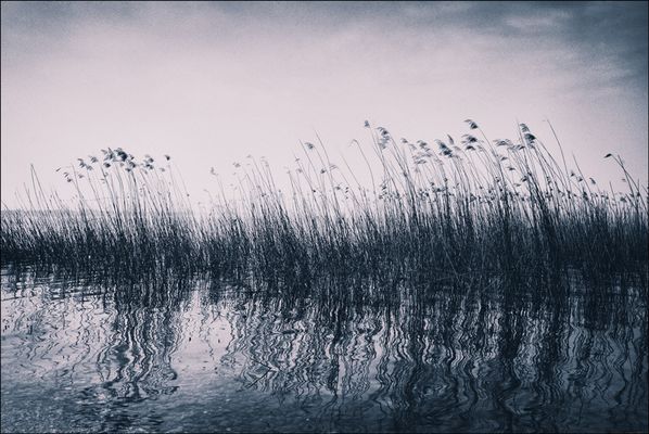 SonoConvintaCheilTempoSiaSoloUnaConvenzione