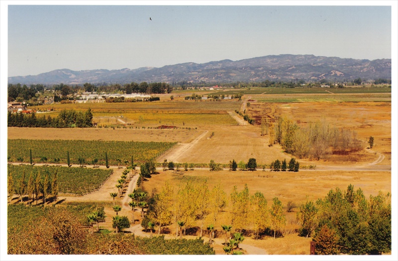 Sonoma Valley