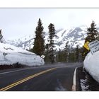 Sonora Pass auf 9624 ft Höhe