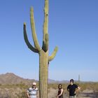 Sonora-Wüste - nahe Phoenix