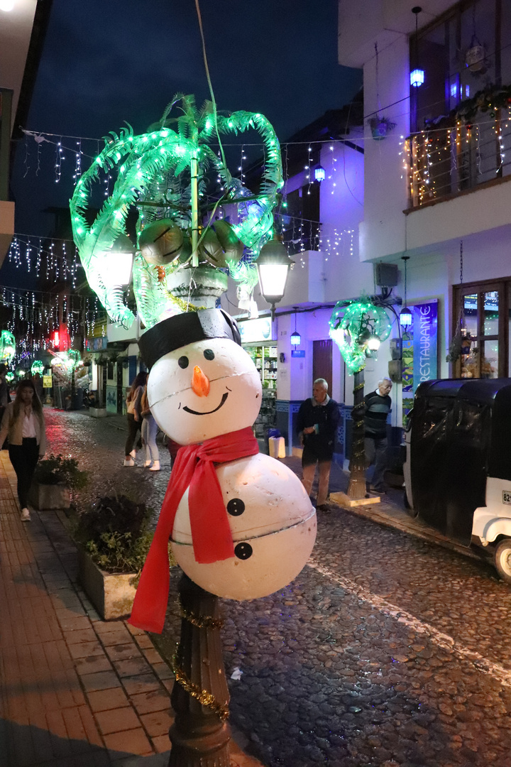 Sonriéndole a la  Navidad