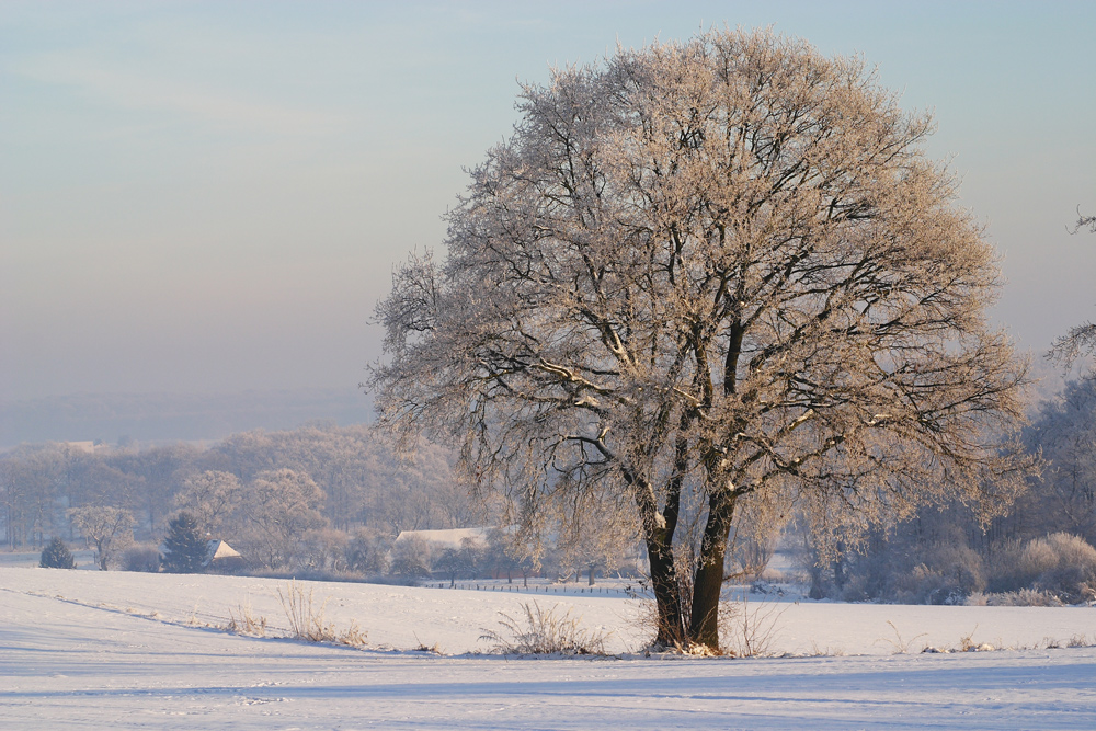 Sonsbecker Schweiz im Winter