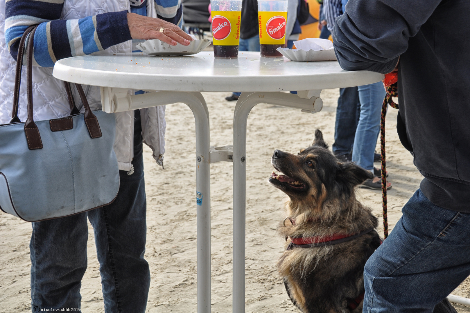 " Sonst läßt sie doch auch immer was fallen "