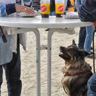 " Sonst läßt sie doch auch immer was fallen "