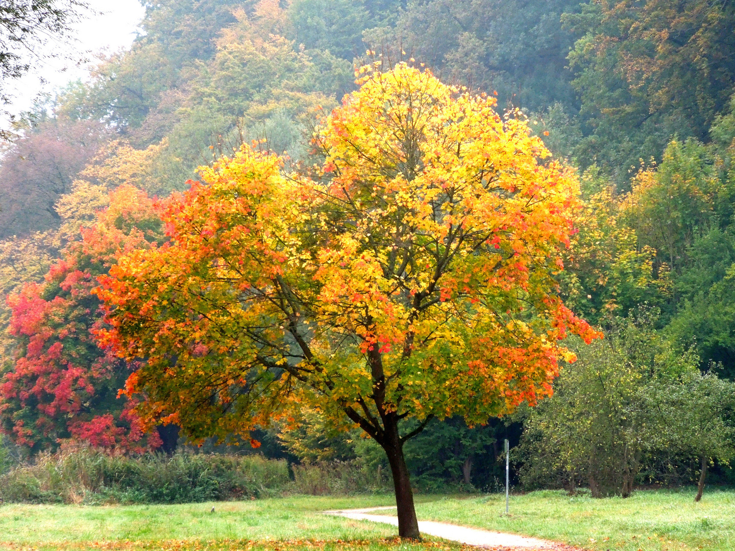 Sontagmorgen im Herbst