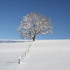 Sonthofen im Allgäu