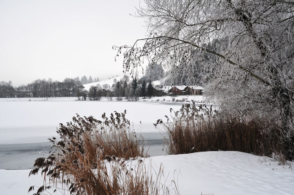 Sonthofener See