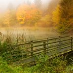 Sontra - Teich im Herbst