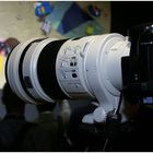 Sony 2,8 G 300mm