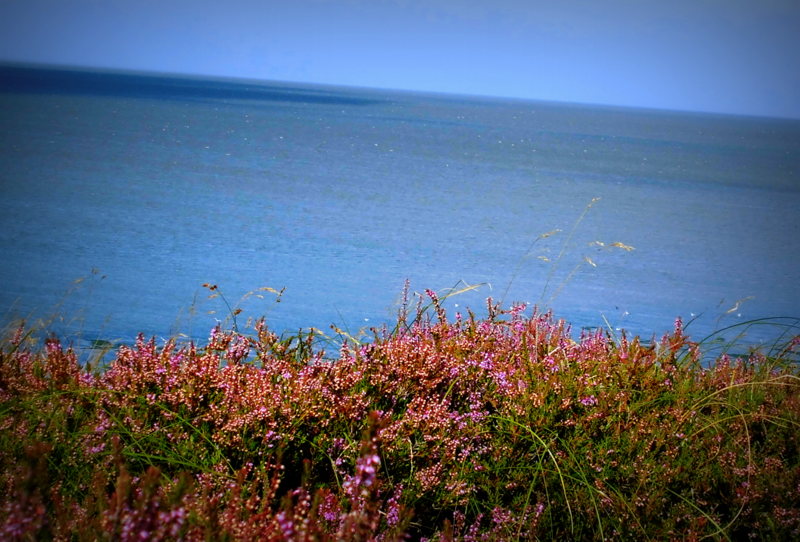 Sooo schön is Sylt!