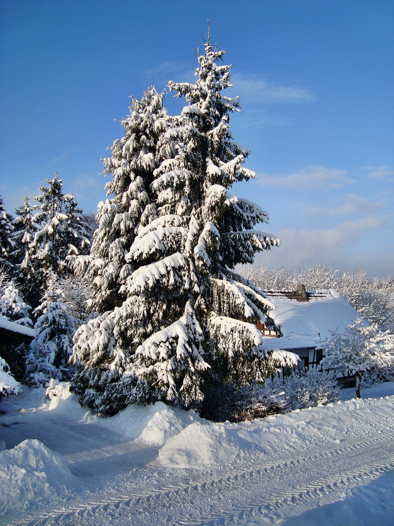 Sooo schööön kann der Winter sein...