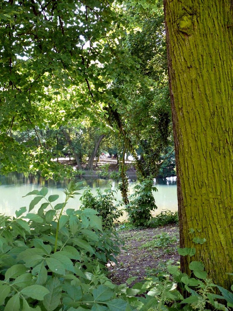 soooo beautiful is Düsseldorf..... der Schwanenspiegel versteckt in der Stadt...