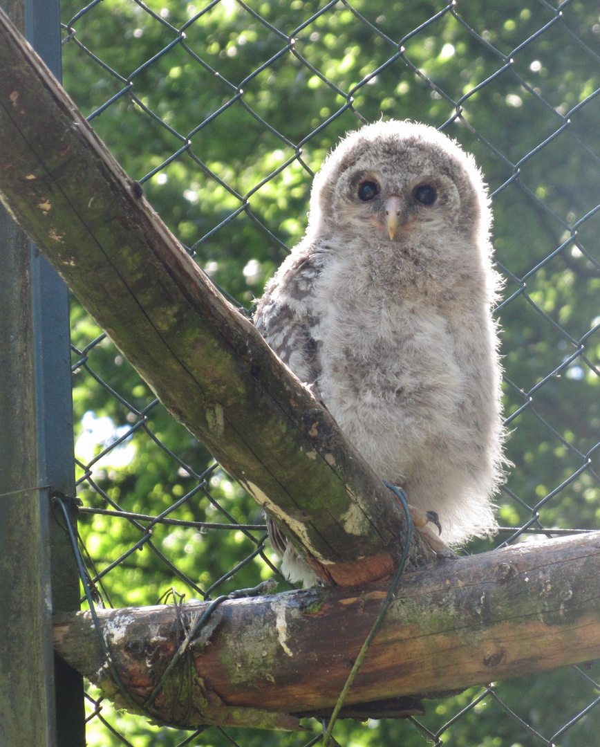 soooo flauschig