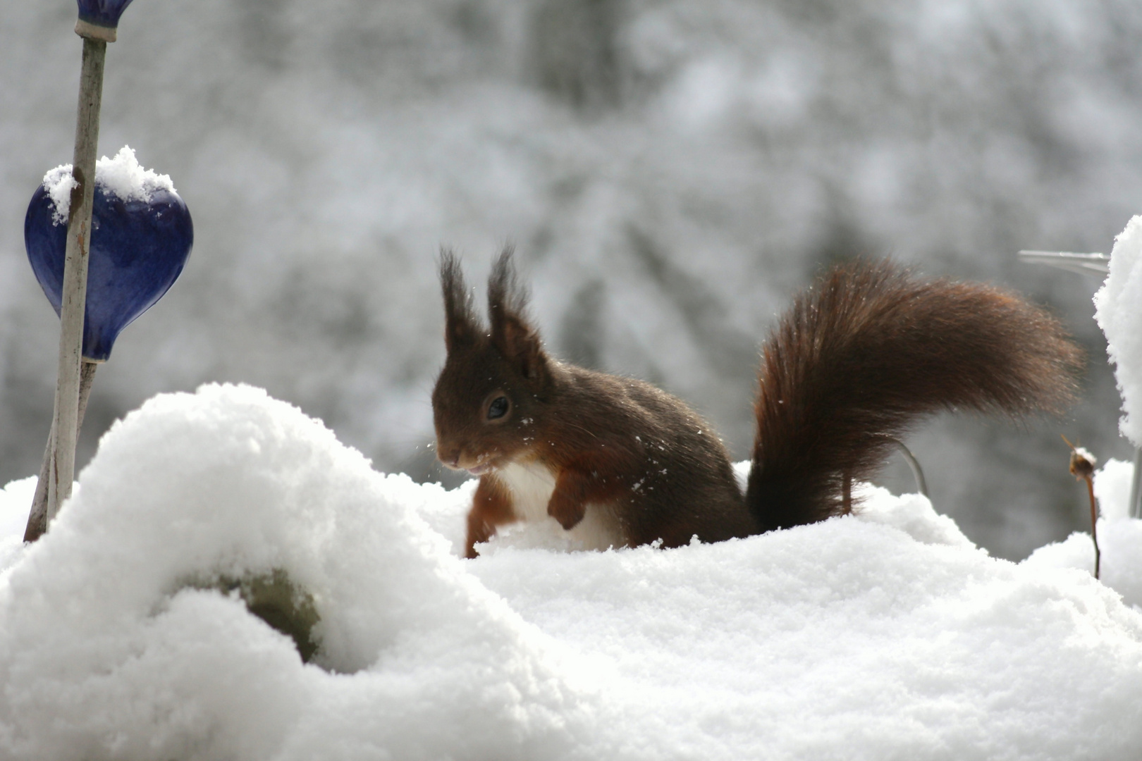 soooo viel Schnee