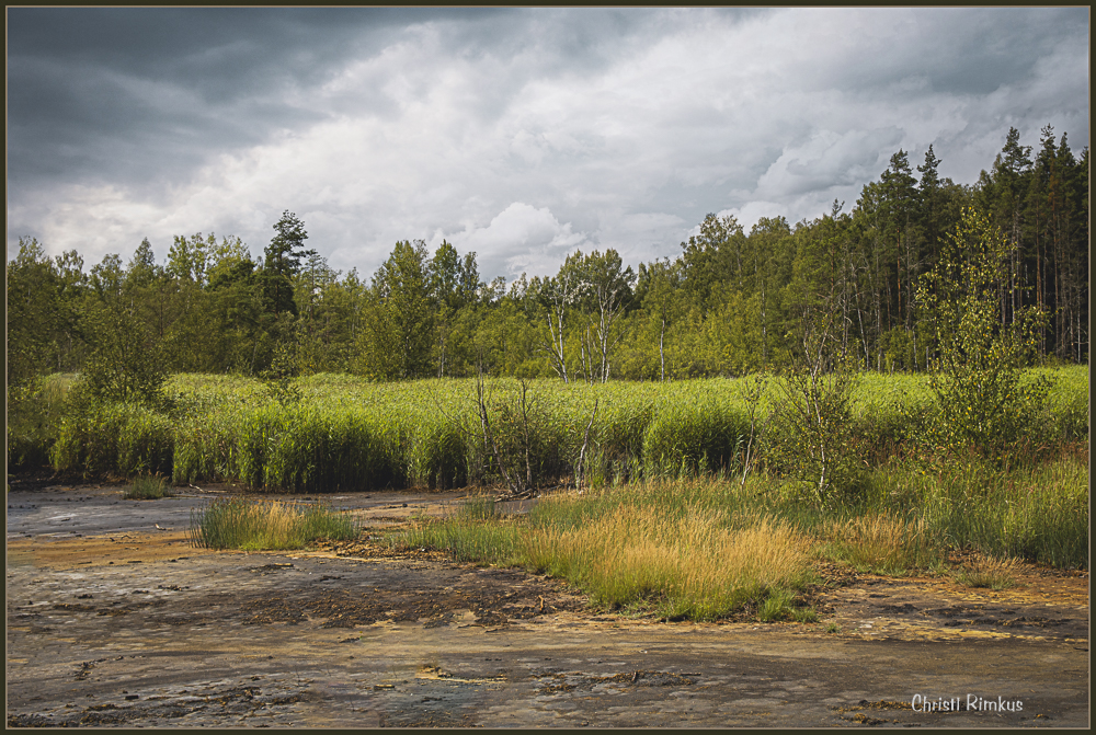 Soos (CZ) - Sumpf- und Moorlandschaft 01