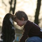 Sophia und Kater Mika im Sonnenuntergang