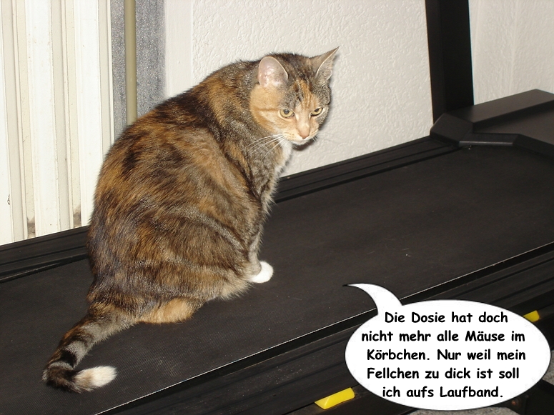 Sophie beim Fitness