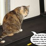 Sophie beim Fitness